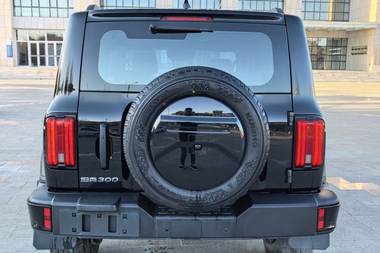 Used Tank 300 2024 2.0T Conqueror