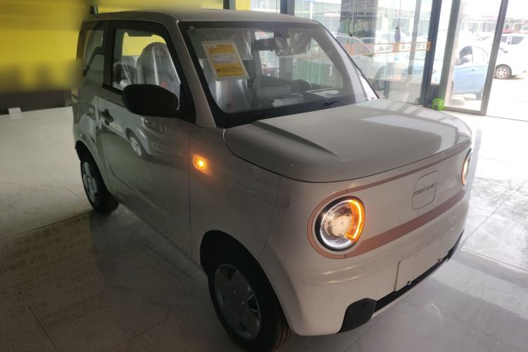 Used  Panda 2024 Panda Mini 200km Longteng PRO Edition

