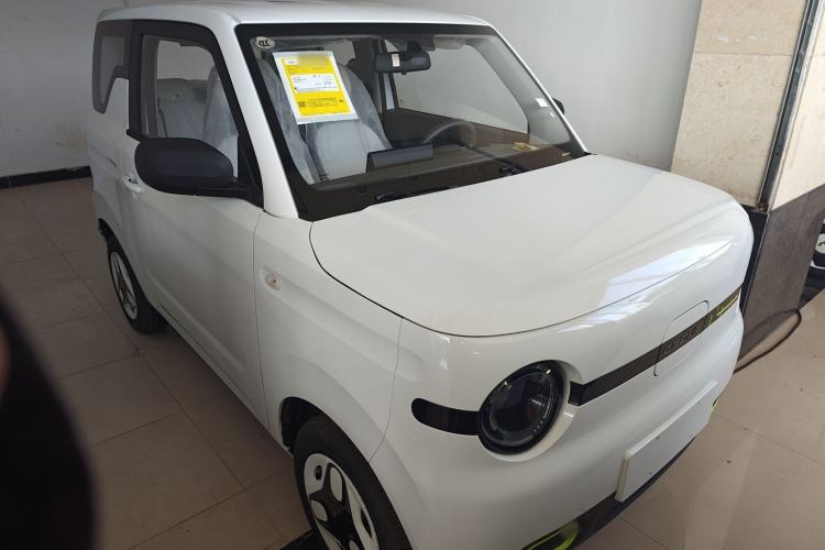 Used  Panda 2025 210 km – Yuanqi Bear