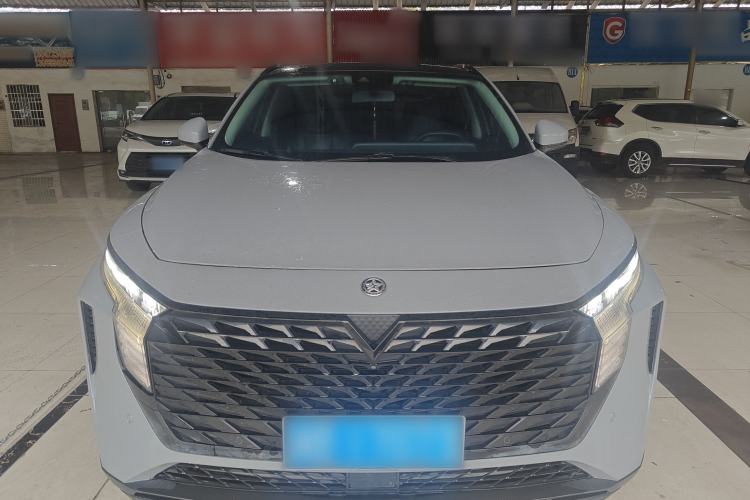 Used Venucia V 2021 260T Tianwang Edition