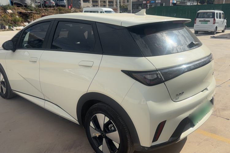 Used BYD Dolphin 2023 420 km Free Version
