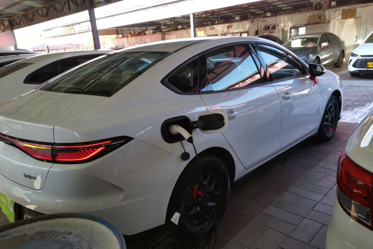 Used BYD Seal 05 DM-i 2025 DM-i Smart Drive 55KM Luxury Model
