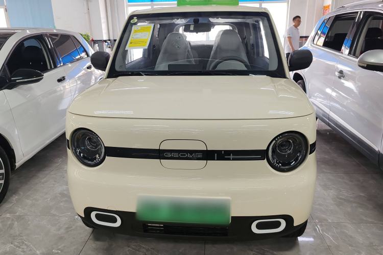 Used  Panda 2025 210 km – Yuanqi Bear
