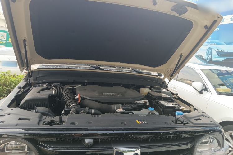 Used Tank 300 New Energy 2024 Hi4-T