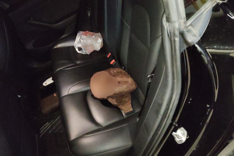 Used Tesla Model 3 2021 Standard Range Rear-Drive Upgraded Version
