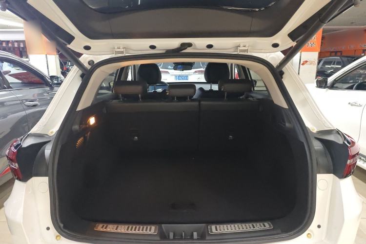 Used  Zhuifeng 2020 Chasing the Waves Edition 1.5T CVT Xingrui Version
