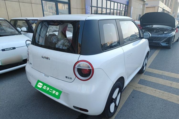 Used  Lumin 2025 205 km Xiangqin Version
