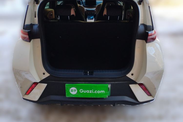 Used BYD Seagull 2023 Flying Edition
