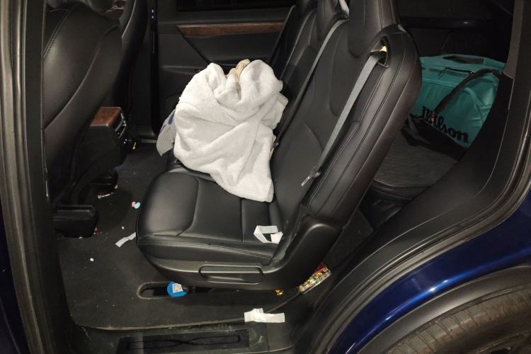 Used Tesla Model X 2020 Long-Range Upgrade Version