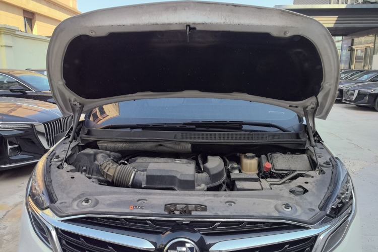 Used Buick GL8 2021 ES Landtrek 653T Comfort Edition
