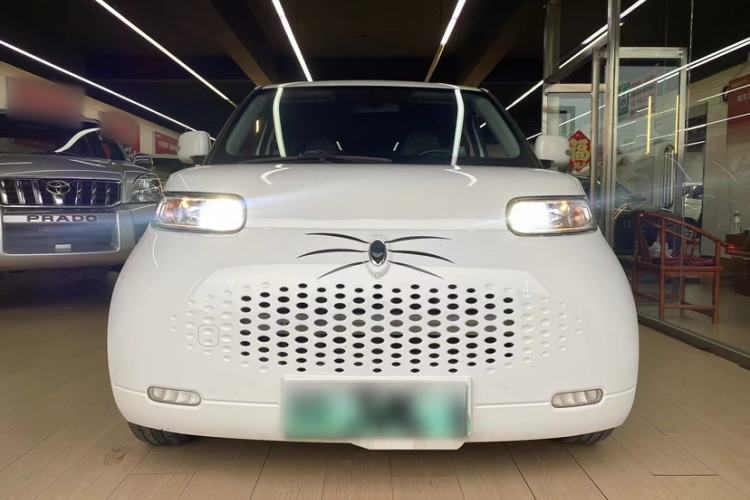 Used ORA White Cat 2020 305 km Luxury Version
