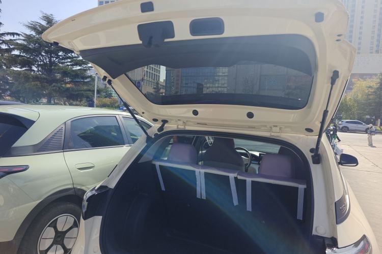 Used  Geome 2025 310km Youth Edition
