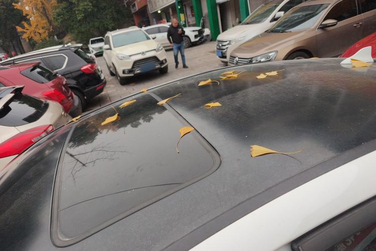 Used MG 6 2015 Hatchback 1.8L 90th Anniversary Track Champion Edition Automatic Comfort Model
