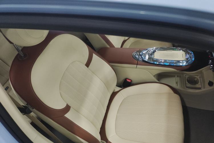 Used ORA Ballet Cat 2023 401 km Luxury Version
