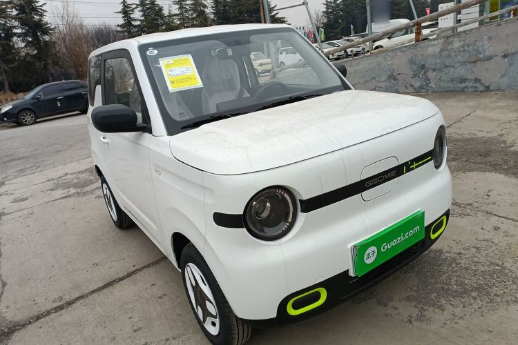 Used  Panda 2025 210 km – Yuanqi Bear
