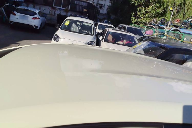 Used BYD Dolphin 2025 420km Free Edition
