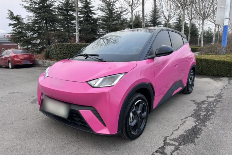 Used BYD Seagull 2024 Honor Edition 305km Freedom Version