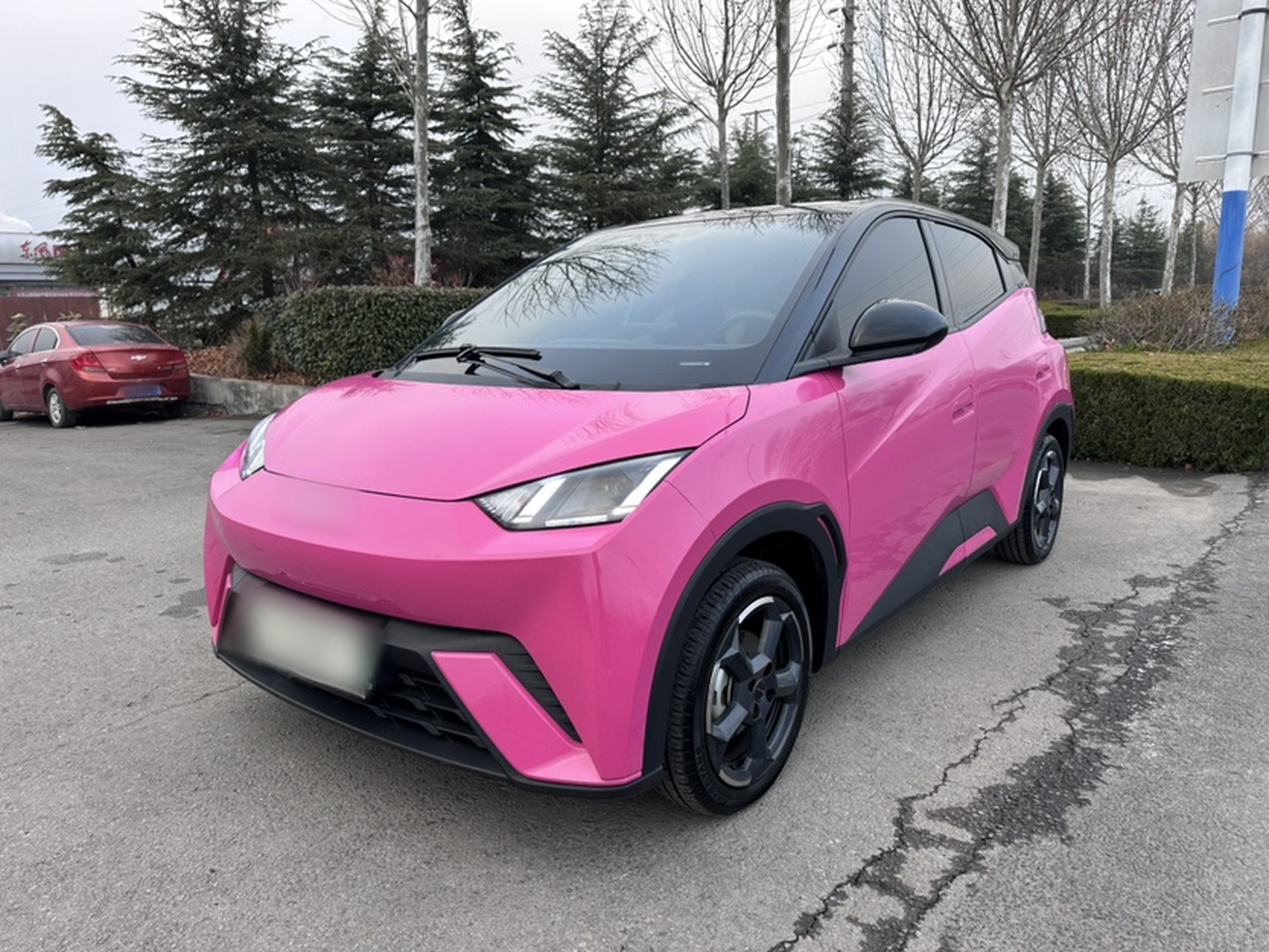 تحت مقدمة السيارة