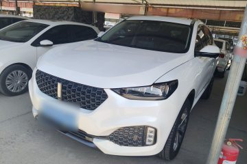 Used Wey VV6 2020 2.0T Two-Wheel Drive Smart Protection+