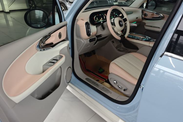 Used ORA Ballet Cat 2022 401 km Nutcracker Edition
