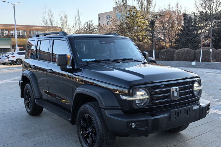 Used Tank 300 2024 2.0T Conqueror