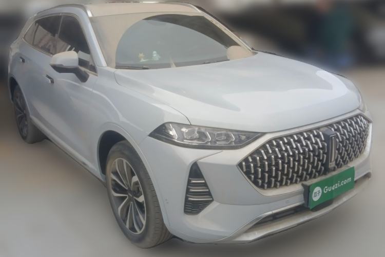 Used Wey Mocha 2021 2.0T Two-Wheel-Drive Premium Edition