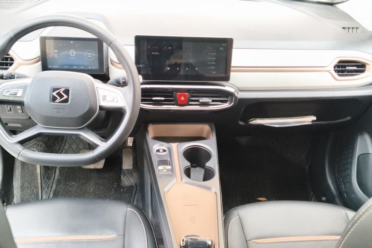 Used SOL E10X 2022 Flower Fairy Design Four-Leaf Clover