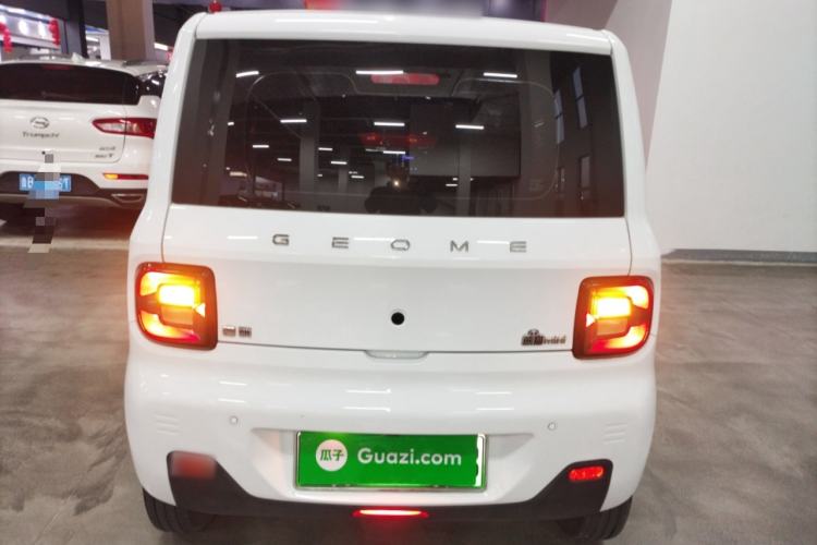 Used  Panda 2024 Panda Mini 200km Endurance Bear
