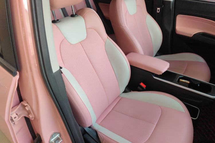 Used NETA V 2021 Witch Edition
