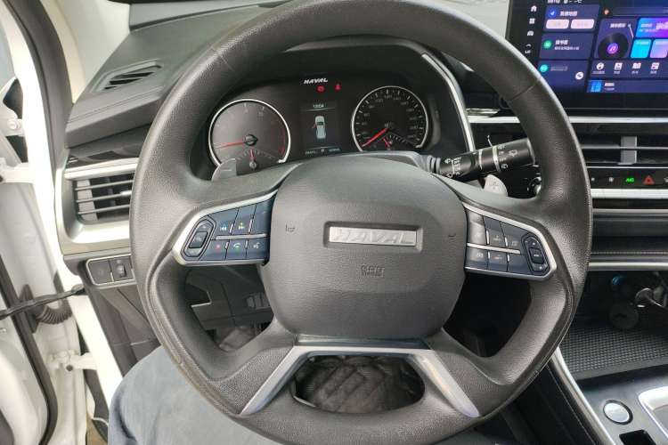 Used Haval H6 2023 National Trend Edition 1.5T Automatic Urban Version
