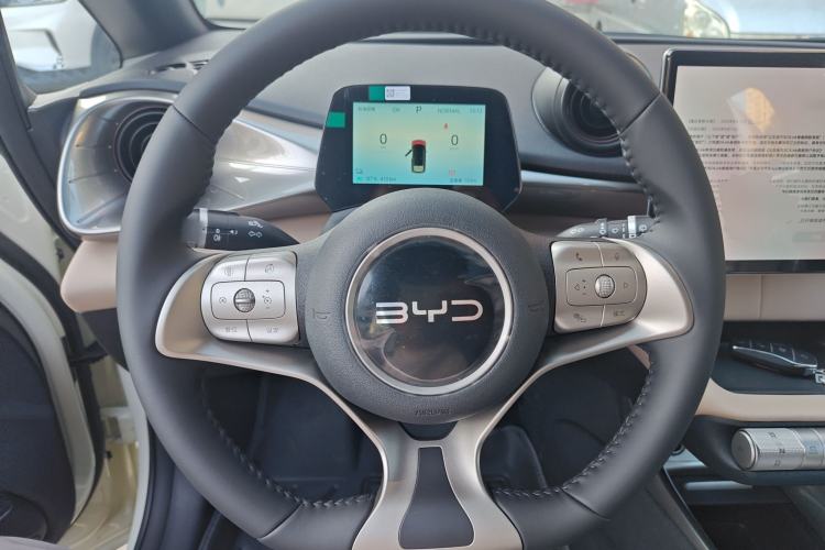 Used BYD Dolphin 2025 420km Free Edition