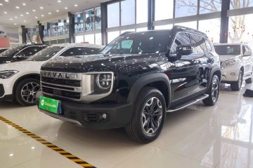 Used Haval DARGO 2024 2.0T DCT Chinese Rural Dog Edition