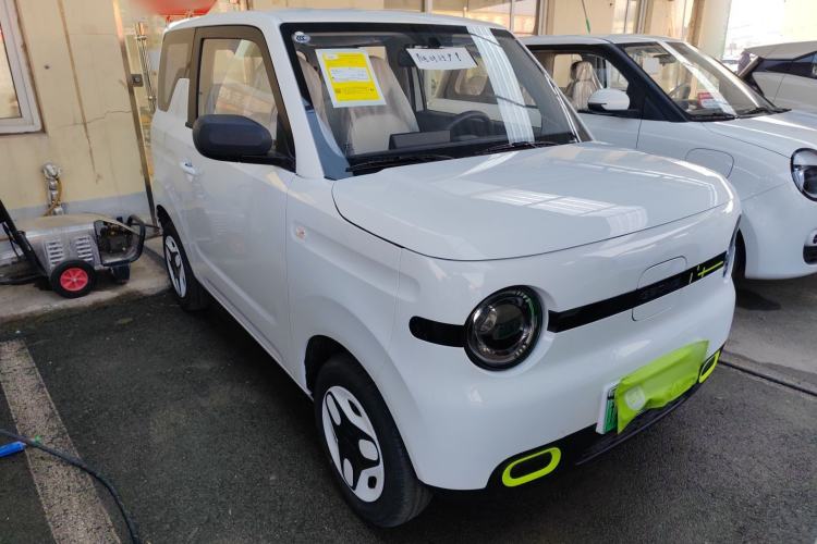 Used  Panda 2025 210 km – Yuanqi Bear
