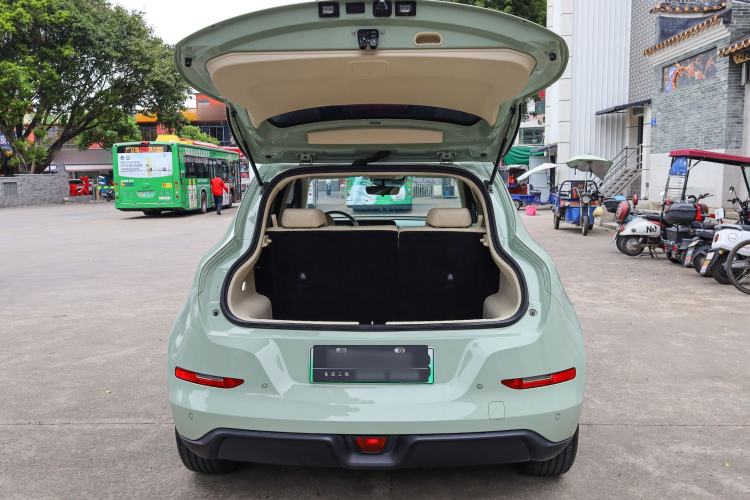 Used ORA Good Cat 2023 401 km Standard Range Luxury Version Lithium Iron Phosphate
