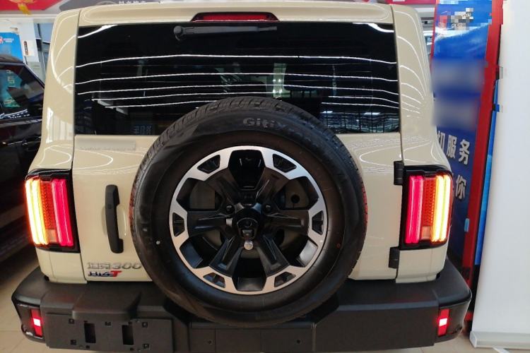 Used Tank 300 New Energy 2025 Hi4-T
