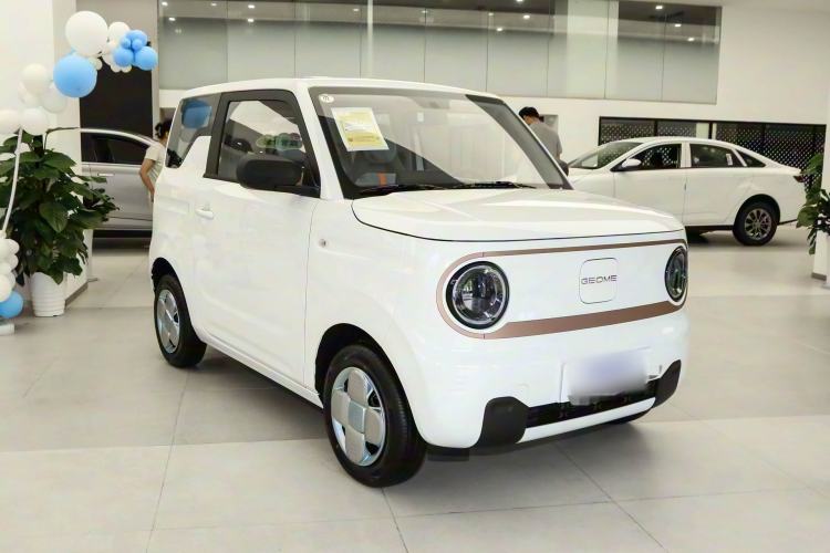 Used  Panda 2024 Panda Mini 200km Endurance Bear
