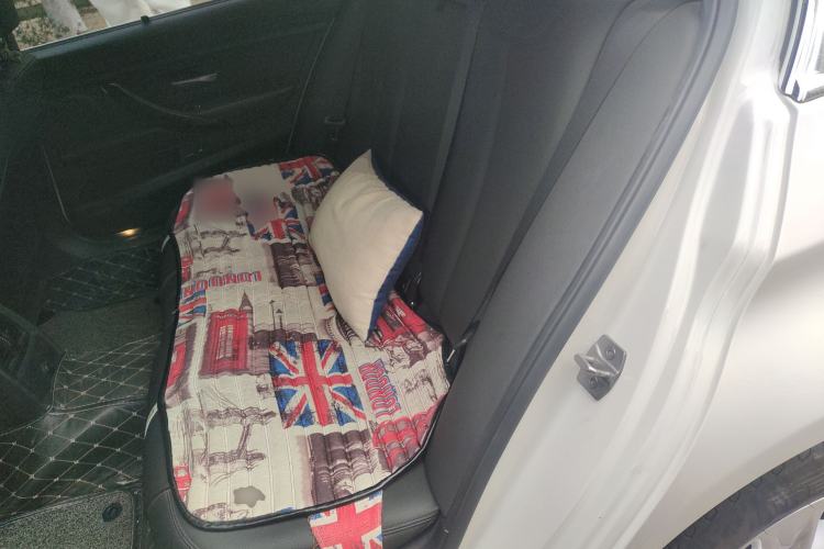 Used BMW 3 Series 2016 316Li Fashion Model
