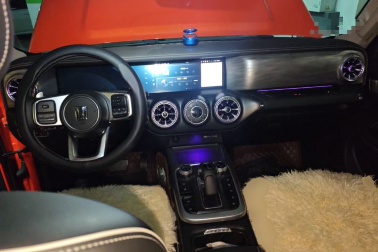 Used Tank 300 2021 City Edition 2.0T—Truly Stylish