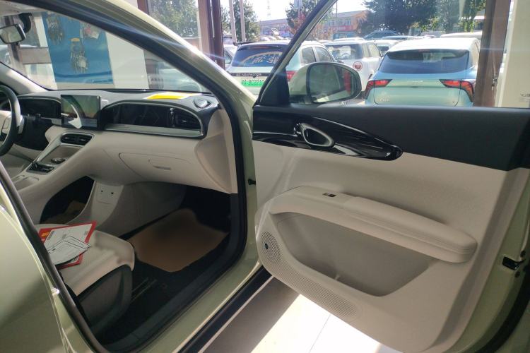 Used  Geome 2025 310km Youth Edition
