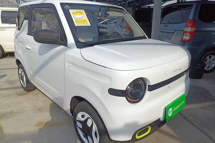 Used  Panda 2025 210 km – Yuanqi Bear
