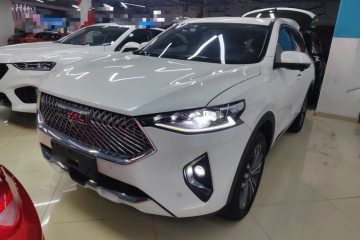 Used Haval F7 2021 2.0T Two-Wheel Drive i-Van