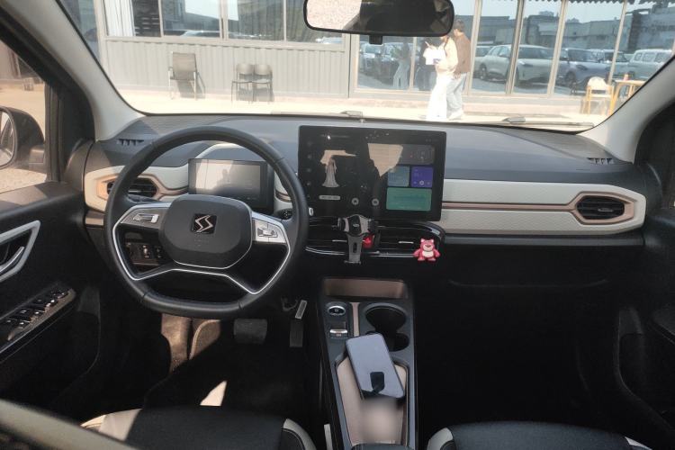 Used SOL E10X 2022 Flower Fairy Style Baby's Breath