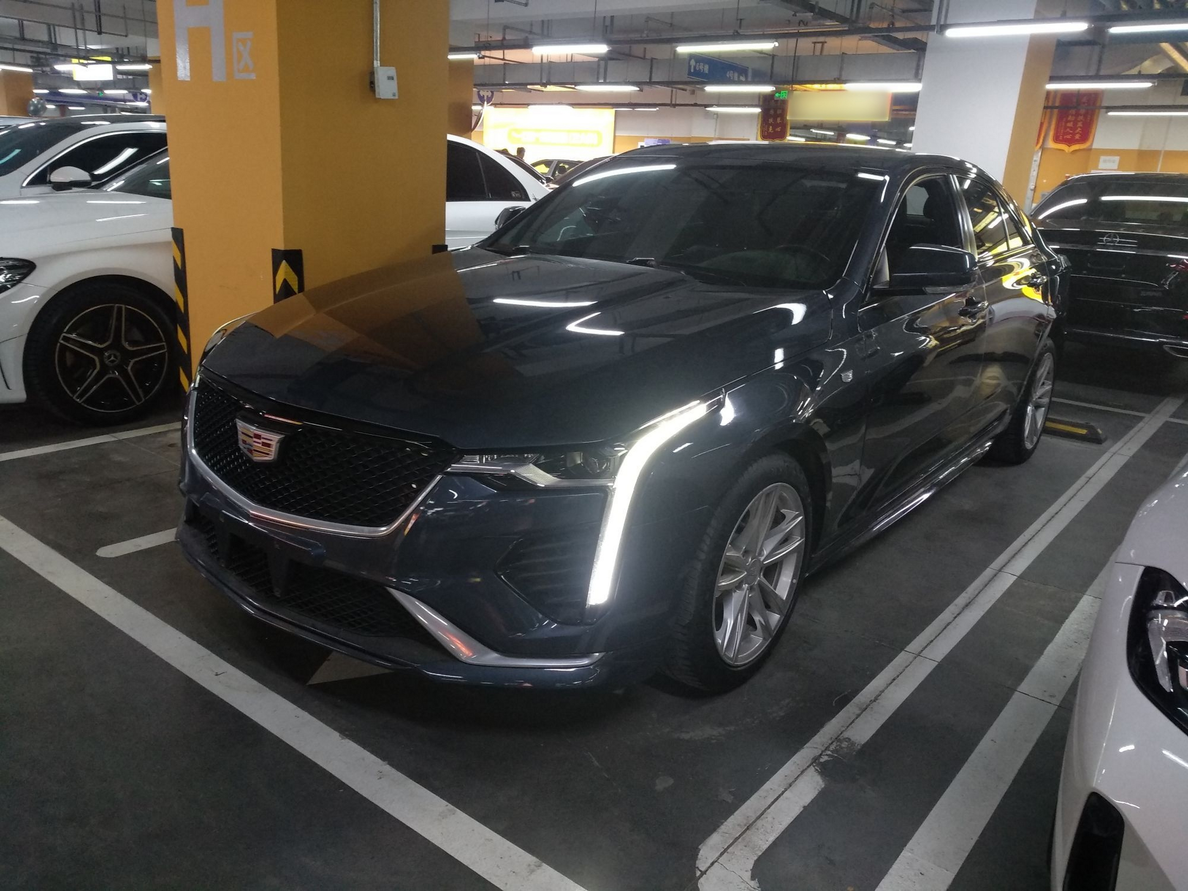 تحت مقدمة السيارة