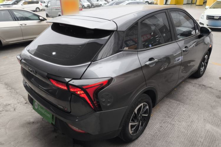 Used NETA V 2021 Long-Range Entertainment Edition Upgrade Model