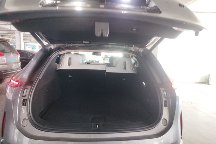 Used  07 2024 Max Extended-Range Edition
