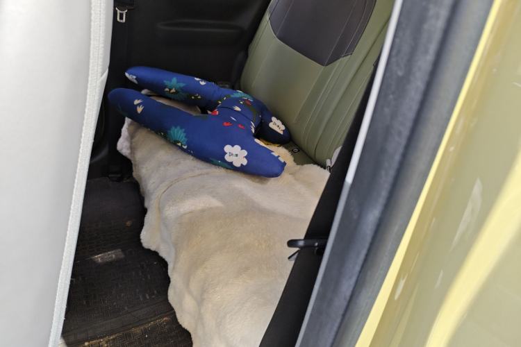 Used  Panda 2025 210km Panda Rider
