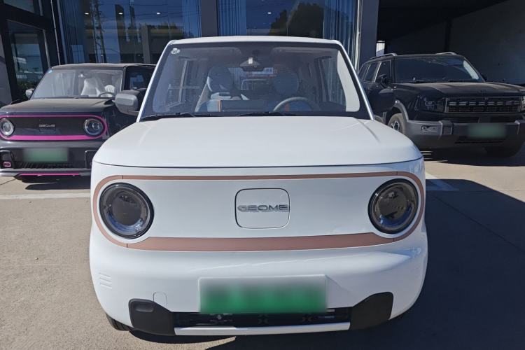 Used  Panda 2024 Panda Mini 200km Endurance Bear
