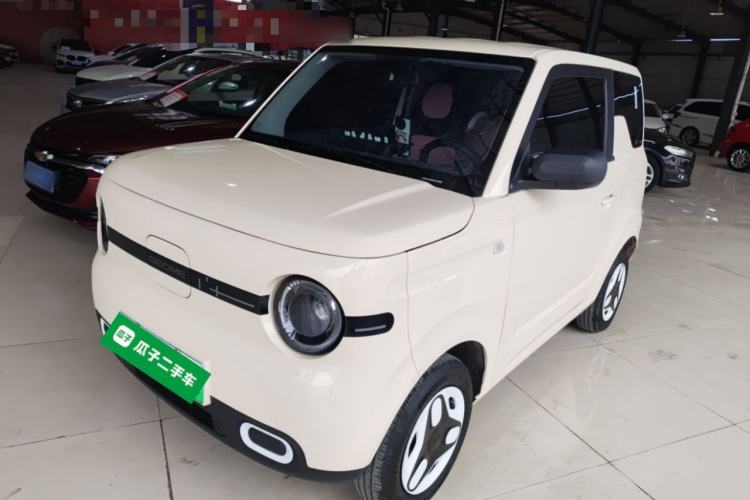 Used  Panda 2025 210 km – Yuanqi Bear