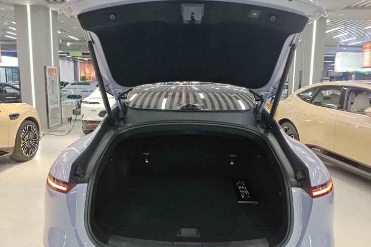 Used  06 2025 Max Extended-Range Edition
