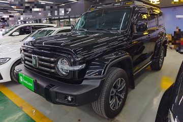 Used Tank 300 2024 2.0T Crosser